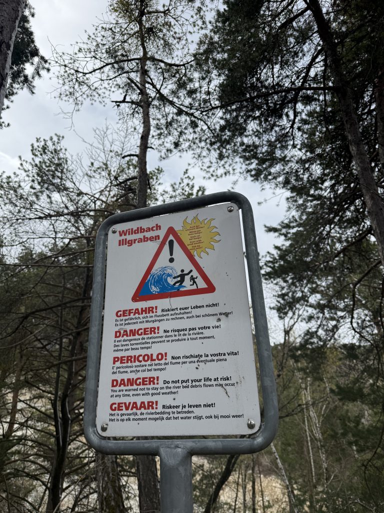 IMG_8481
